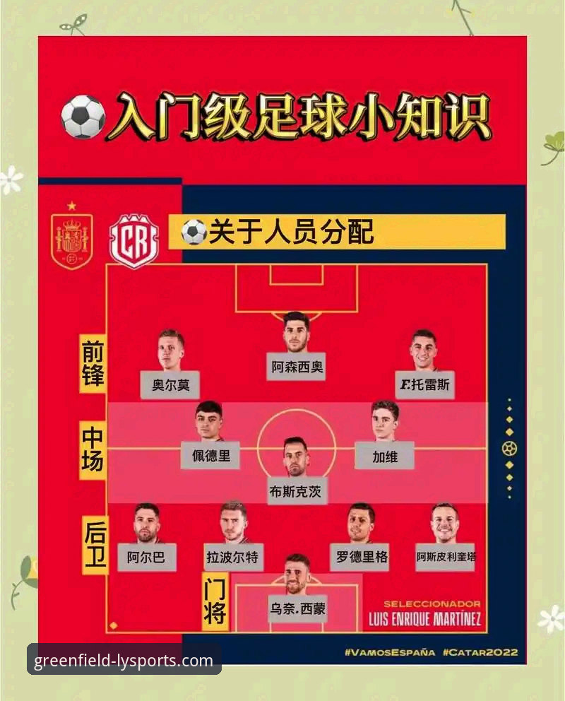 绿茵体育赛程表使用指南 绿茵体育平台赛程表功能深度操作教程